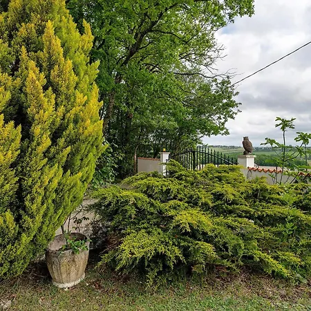 Berthelots En Charente